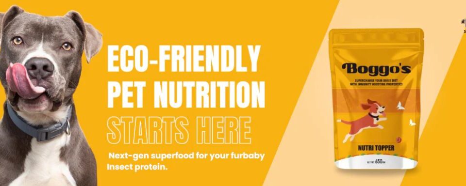 Insect Based Dog Food