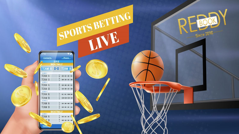 Online basketball betting india