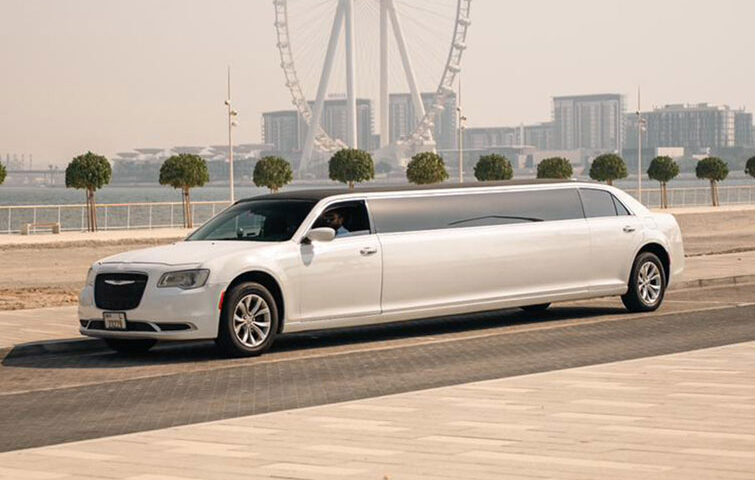 Private VIP Chauffeur