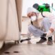 Best Pest Control Companies in Dubai: How to Choose the Right Service